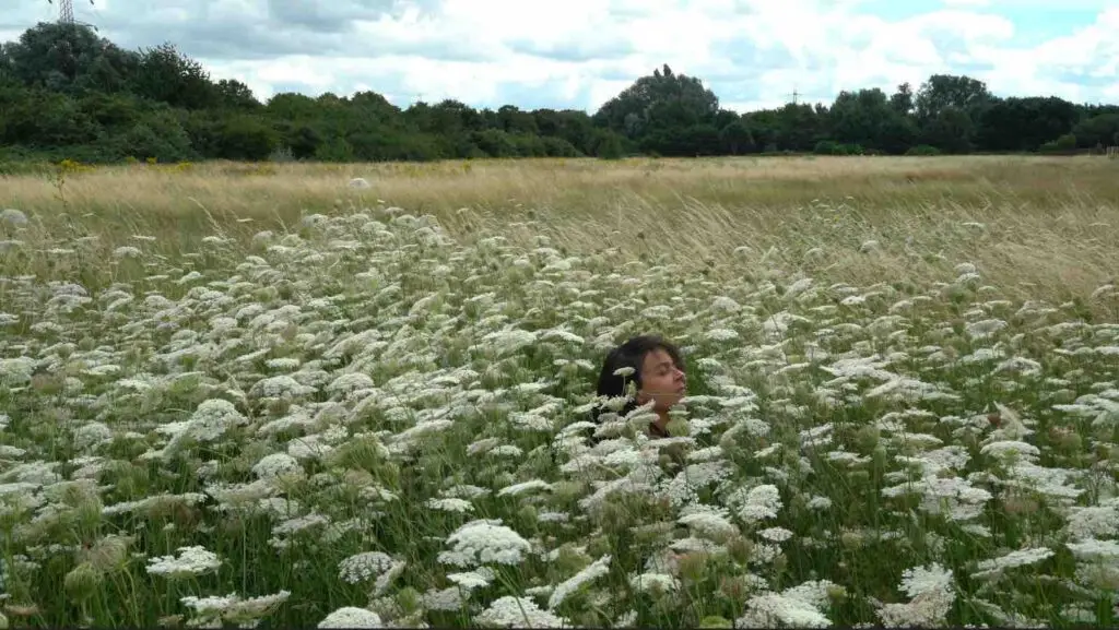 It's the height of summer in Hackney Marshes and all the wild carrots are in bloom and really abundant that year. There is a full field of them. Claire's head is showing in the middle as she is fully immersed in them as if swimming in their ocean.